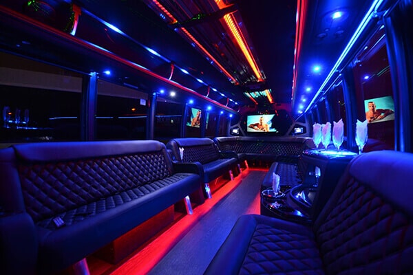 Chicago’s Party Bus Pros: Unforgettable Rentals for All